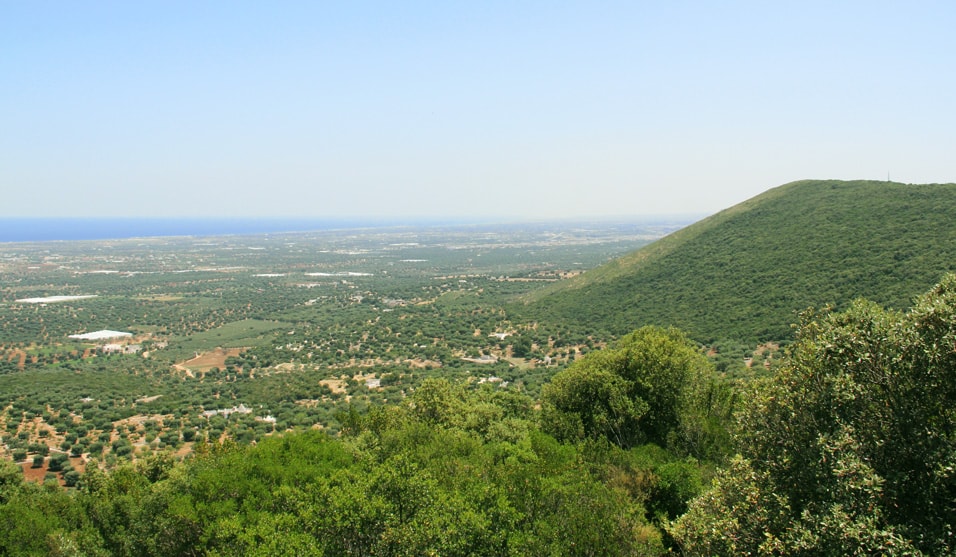 B&B Fasano - immagine 8