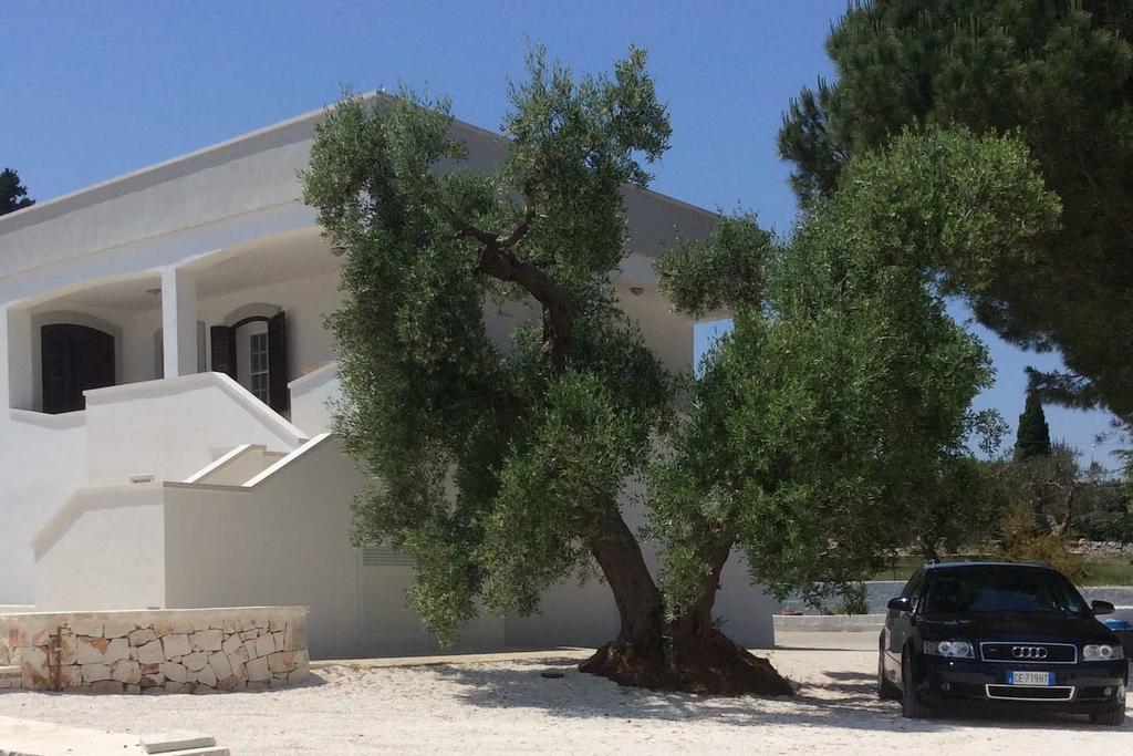 Villa in Cisternino - immagine 11