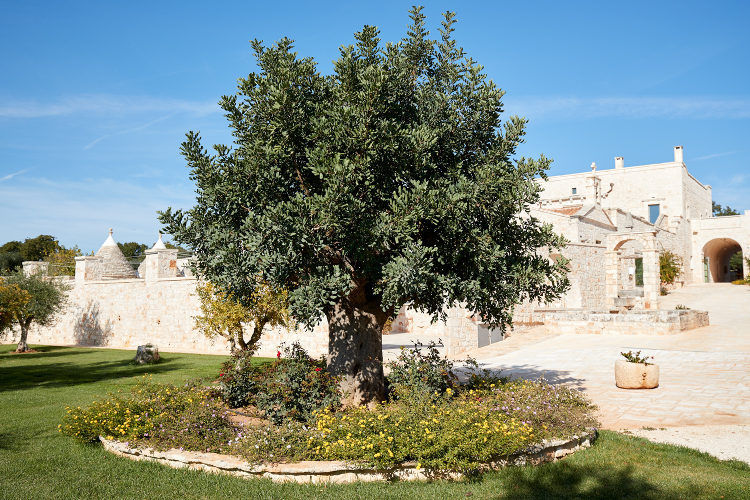 Country Resort Ostuni - immagine 6