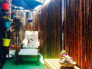 Carrol Gardens Stanza Blue