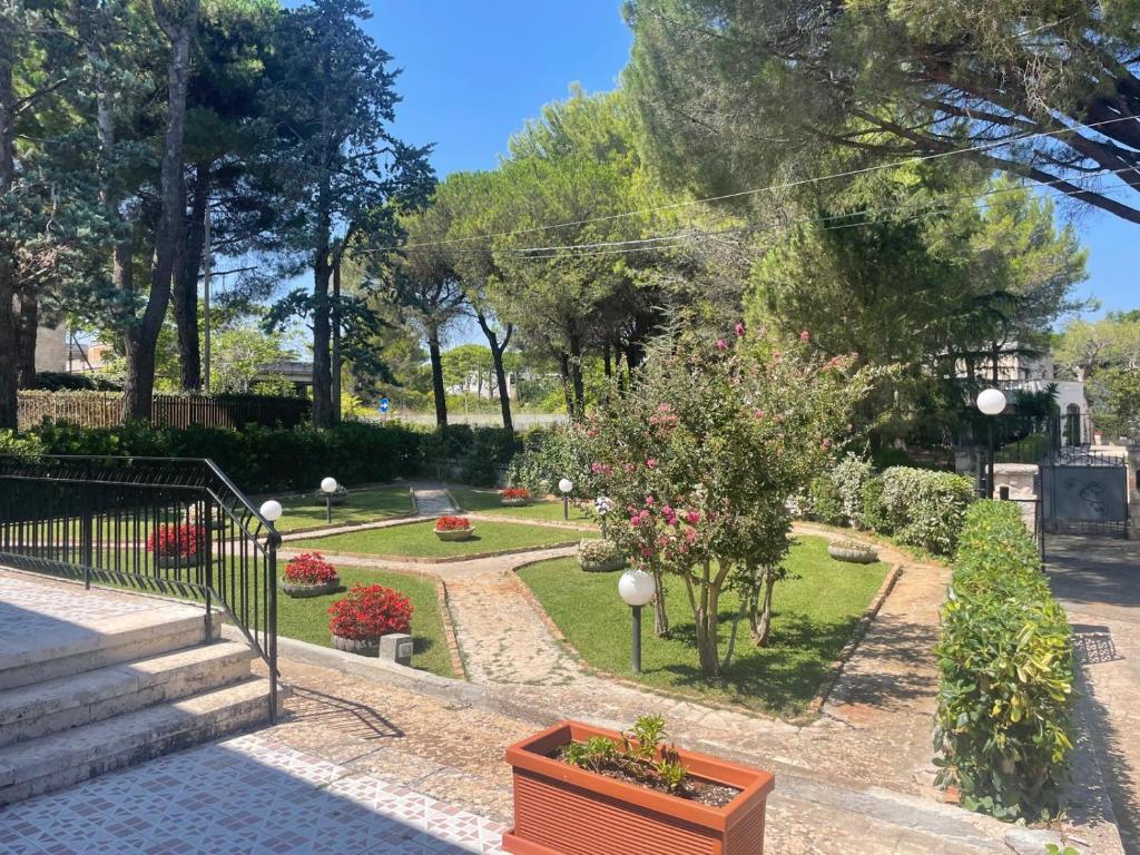 Villa Trimigliozzi Selva di Fasano - immagine 3